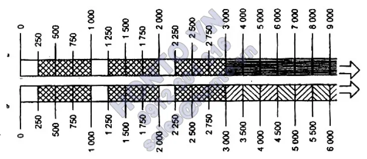 13-732x318_0