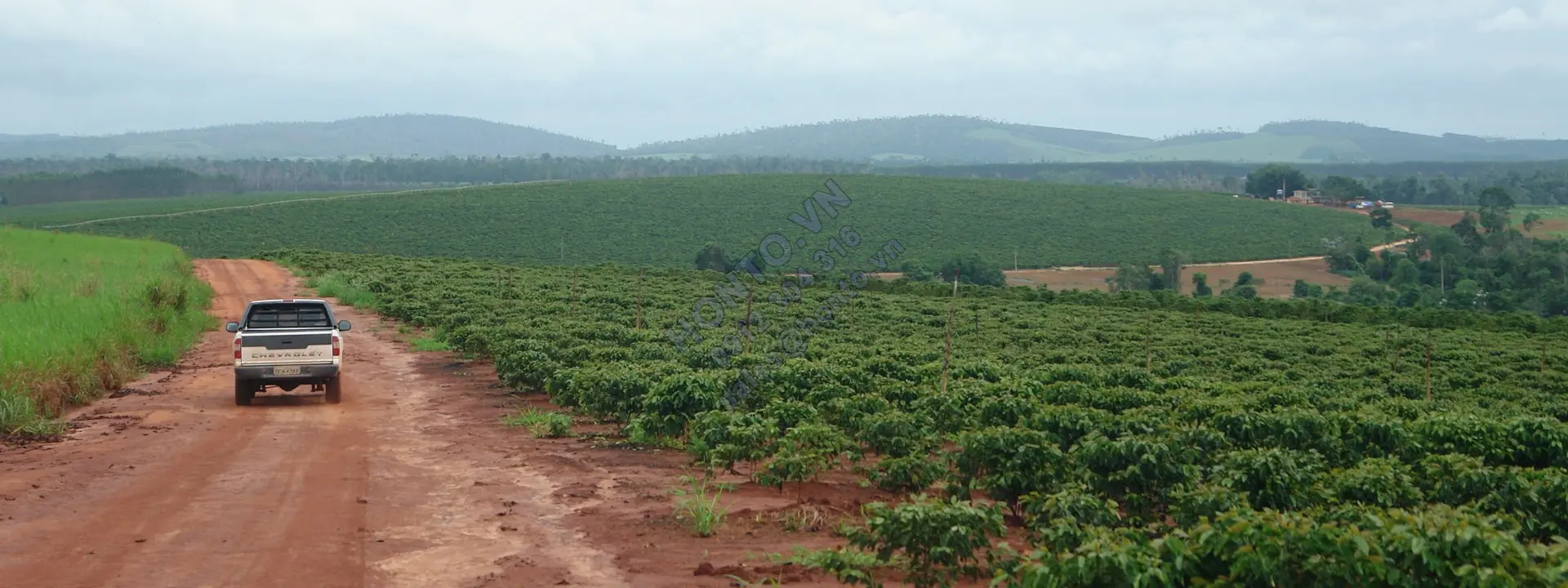 ca-phe-dang-bi-de-doa-5-1920x720_0