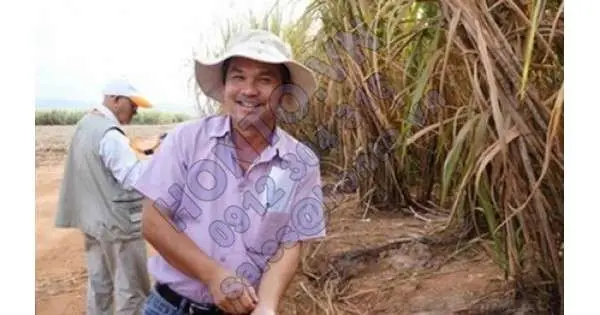 Công ty mía đường của Bầu Đức về tay gia đình ông Đặng Văn Thành