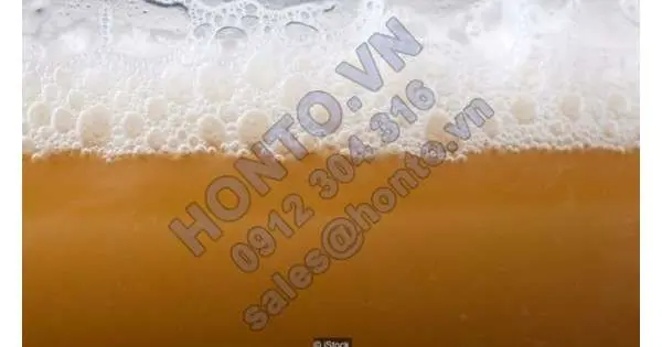 Điều kỳ diệu ẩn chứa trong một cốc bia