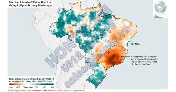 Cà phê đang bị đe dọa-Mùi vị cà phê đang thay đổi khi trái đất ấm lên