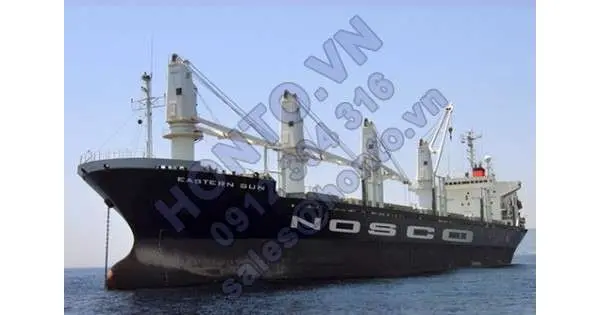 Hãng tàu biển lỗ 3.400 tỷ xin đổi tên