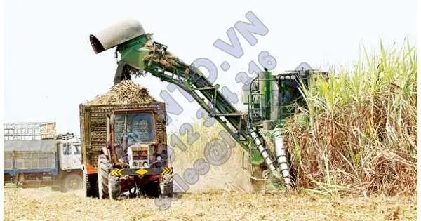 Cổ phần công ty mía đường được rao giá hơn 340.000 đồng