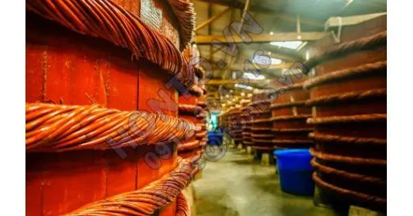 Phó thủ tướng yêu cầu xem xét lại mức kỷ luật Vinastas