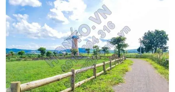 Trang trại như trời Âu ngay gần Đà Lạt