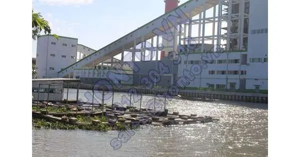 Trùm nilông ngủ vì ô nhiễm nhà máy giấy