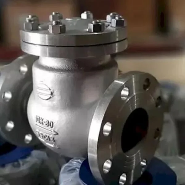 Van 1 Chiều Inox 316