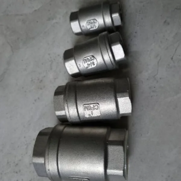 Van 1 chiều lò xo inox 304