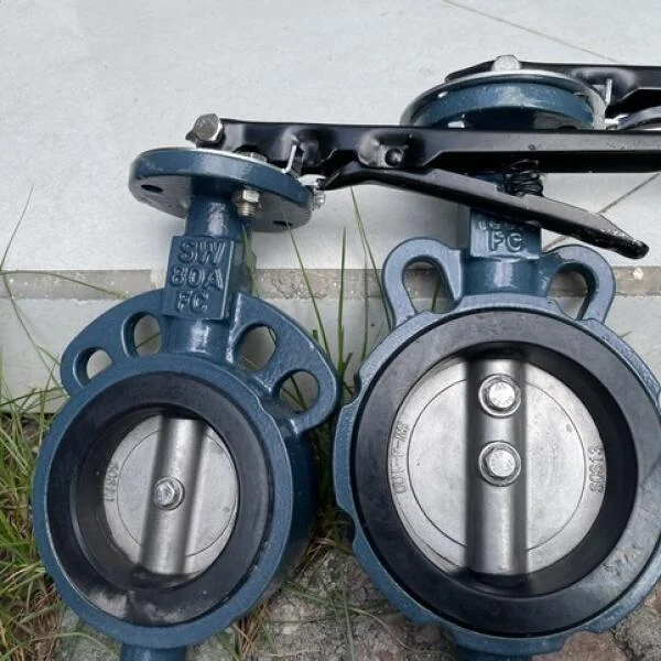 Van Bướm Thân Gang Đĩa Inox