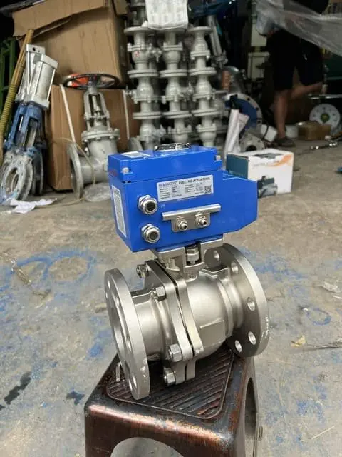 Hình ảnh minh họa (1)