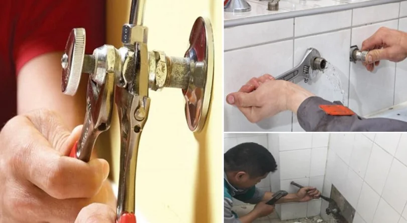 Hình ảnh minh họa (1)