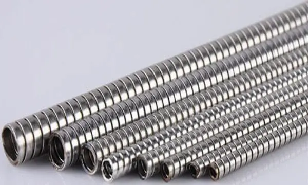 Hình ảnh minh họa (2)