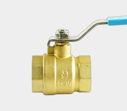 Hình ảnh minh họa (3)