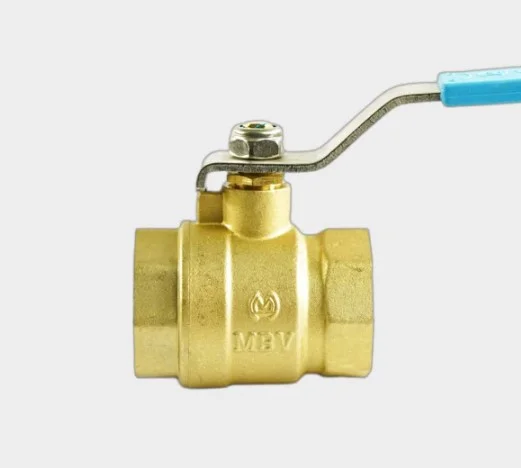 Hình ảnh minh họa (3)