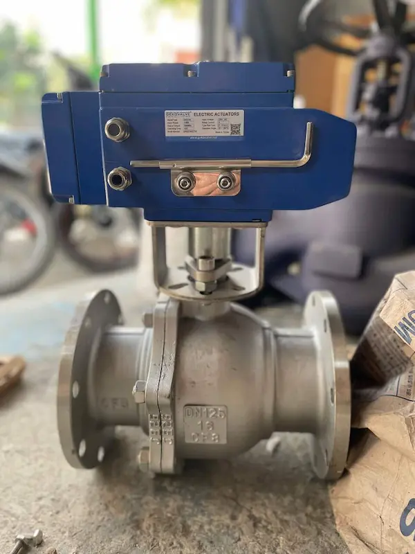 Hình ảnh minh họa (1)