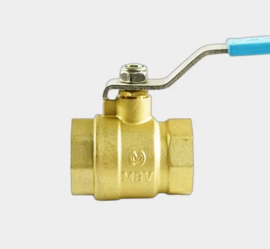 Hình ảnh minh họa (1)