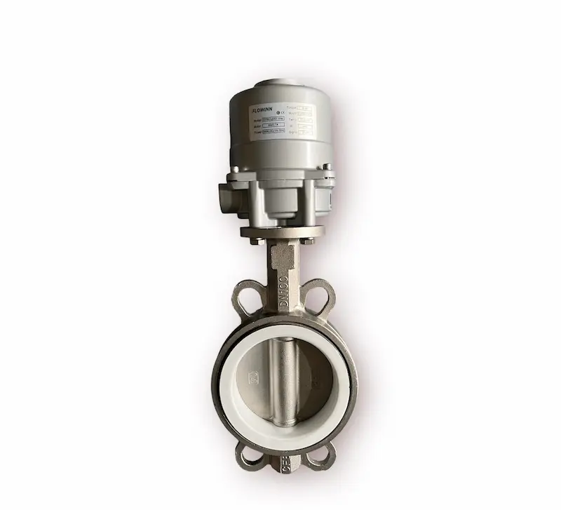 Hình ảnh minh họa (2)