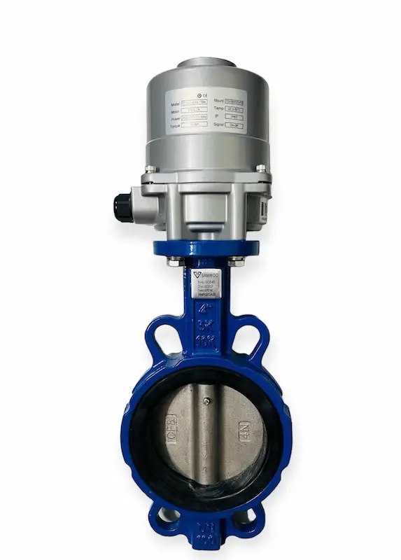 Hình ảnh minh họa (1)