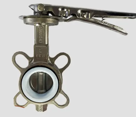 Hình ảnh minh họa (2)