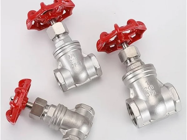 Hình ảnh minh họa (2)