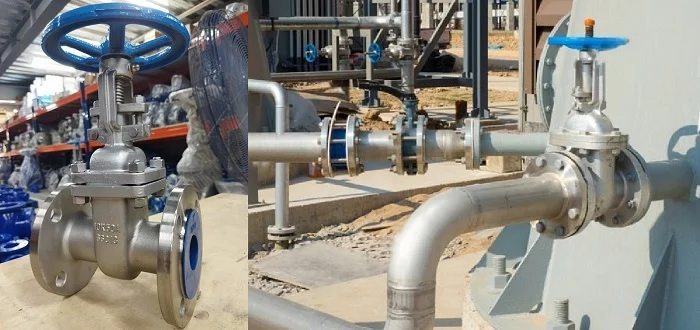 Hình ảnh minh họa (3)