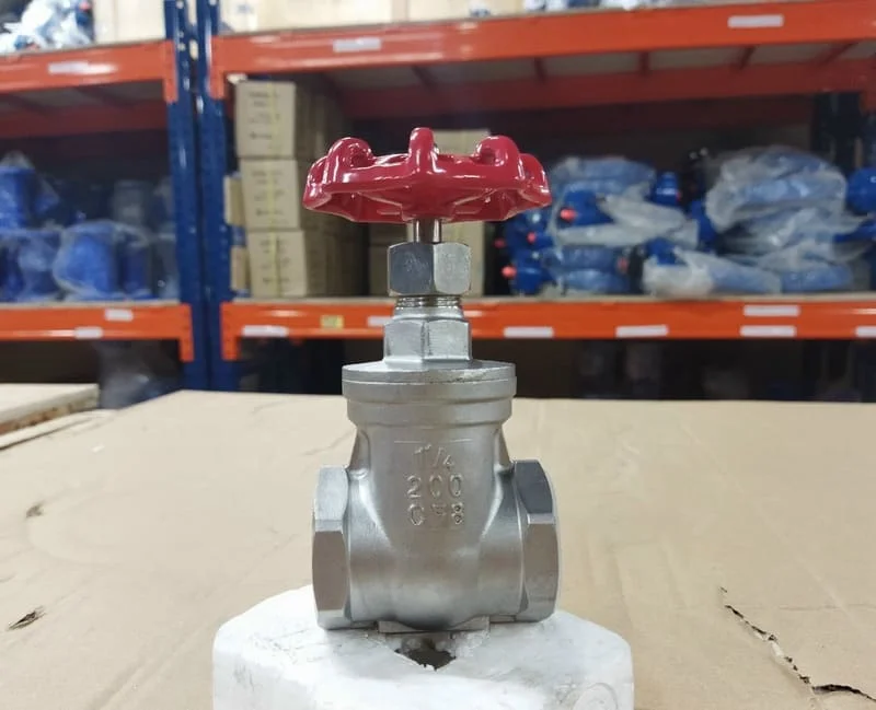 Hình ảnh minh họa (2)