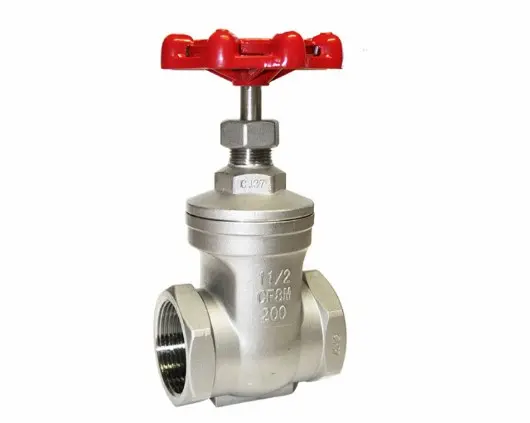 Hình ảnh minh họa (1)