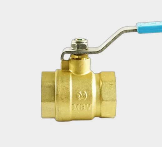 Hình ảnh minh họa (3)