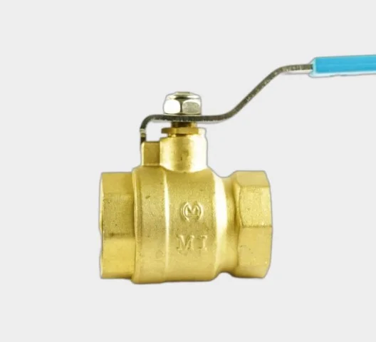 Hình ảnh minh họa (3)