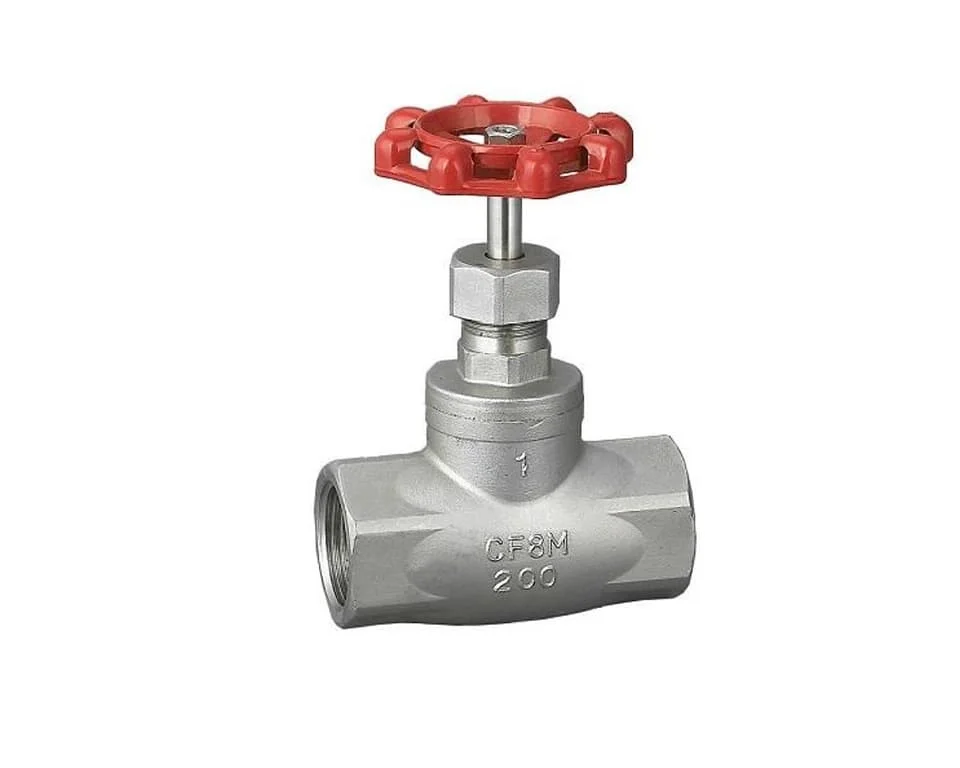 Hình ảnh minh họa (3)