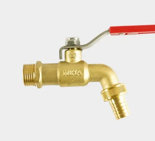 Hình ảnh minh họa (2)