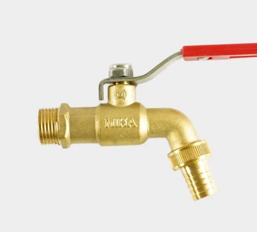 Hình ảnh minh họa (1)