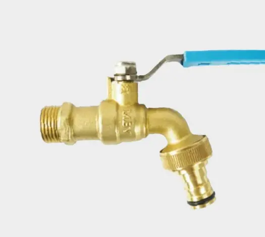 Hình ảnh minh họa (1)