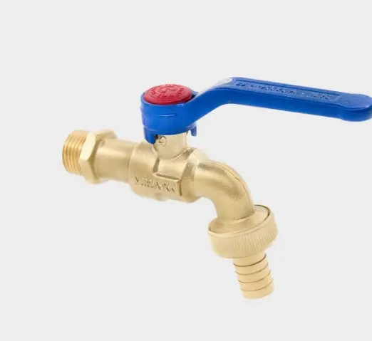 Hình ảnh minh họa (2)